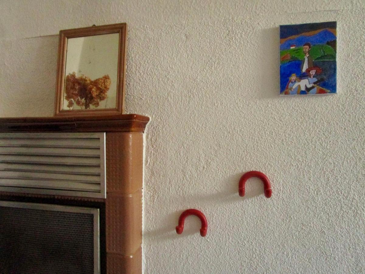 Ferienwohnung Ida Pfeiffer Eibenstock Luaran gambar